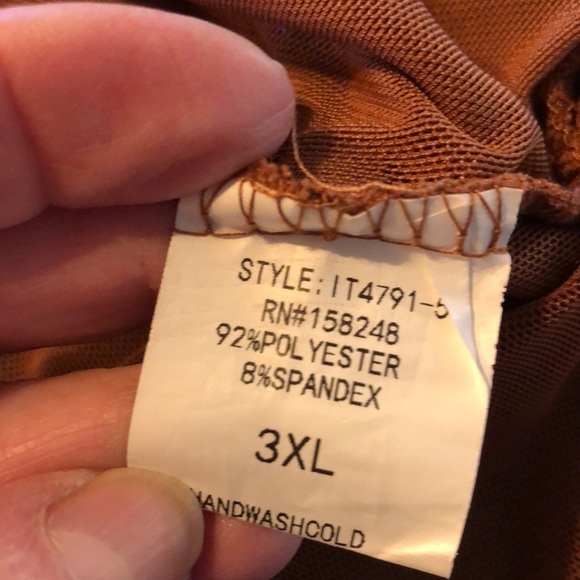 Talent Sexy Sheer Netting Long Sleeve Deep V Neck Empire Styling Camisole Top - Picture 12 of 13